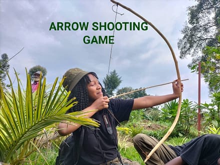 Arrows were used for hunting and aggression long before recorded history. They were important weapons of war from ancient history until the early modern period, eventually dropped from warfare. In today’s world, arrows are mostly used for hunting and sports.